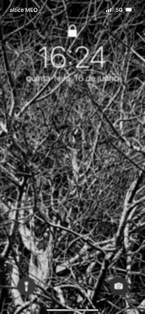 IMG_9107